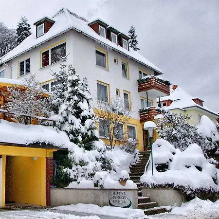 Hotel-pension Ursula 3*